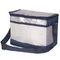 Folding Insulated Cooler Lunch Bag Multifunctional For Outdoor Activities