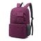 Purple Primary School Bag , Elementary School Backpacks For Middle Schoolers