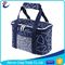 600D Polyester Insulated Cooler Bags Winter Heat Pack Rucksack Canvas Material