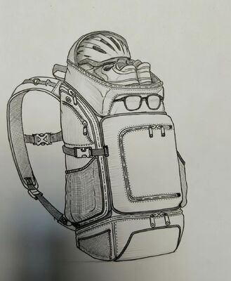 Customized Colors Outdoor Sports Bag with Breathable Fabric and 5 Spacious Compartments for Hiking and Camping