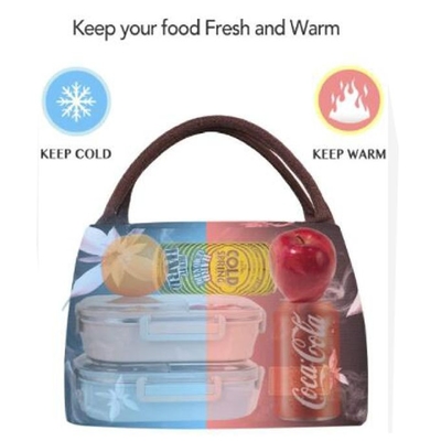 Soft Sided Collapsible Insulated Ladies Lunch Cooler Bag